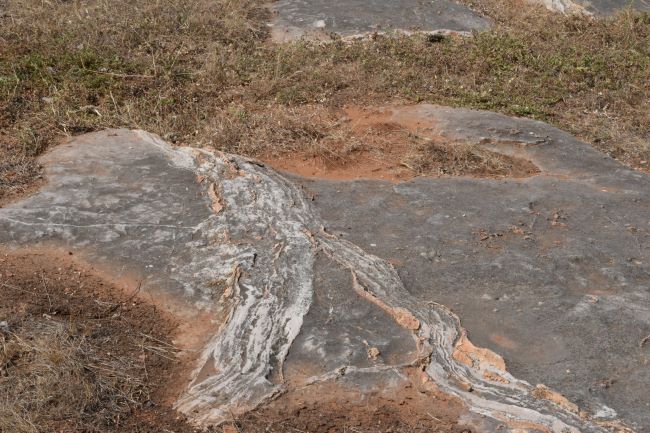 dinosaur park gujarat