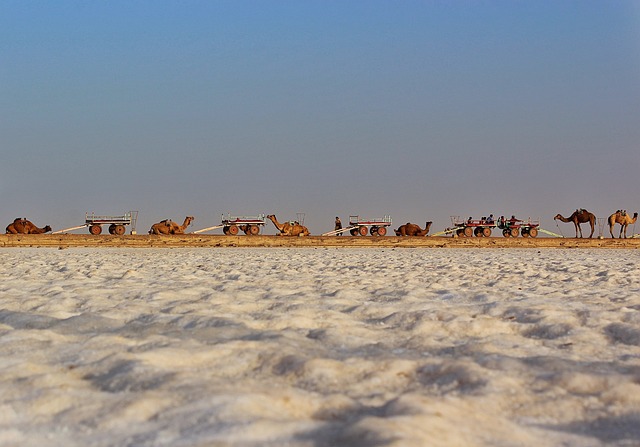 kutch trip in monsoon