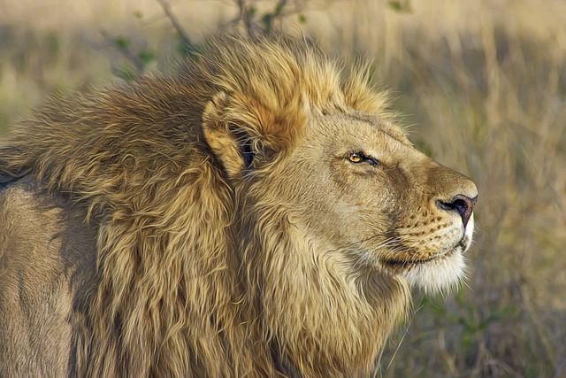 gir national park trip in monsoon