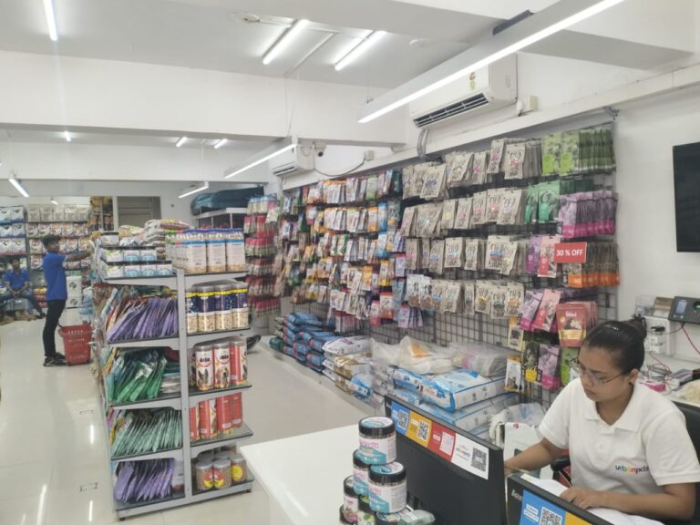 0867a28e e26c 4f4e 908d b2d538f06f37 768x576