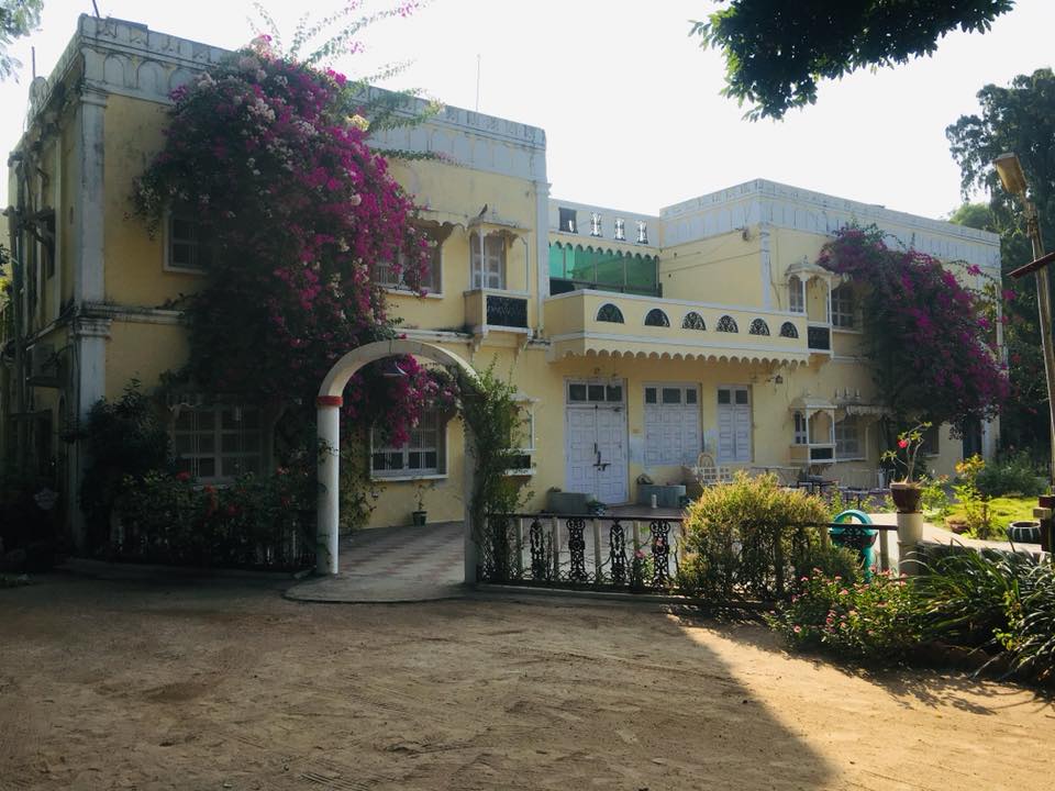 Bougainvillea in The Garden Palace, Balasinor