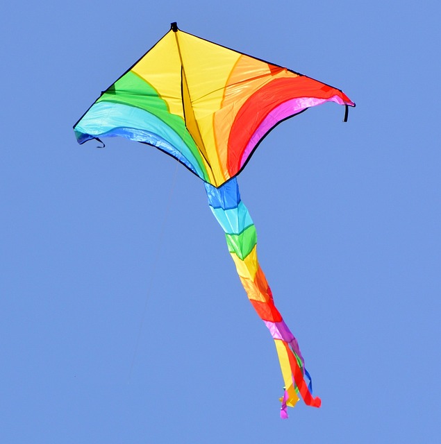 makar sankranti